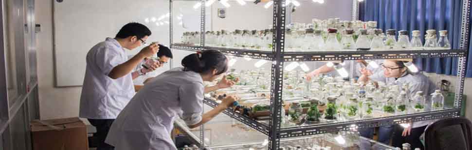 Cử nhân công nghệ sinh học