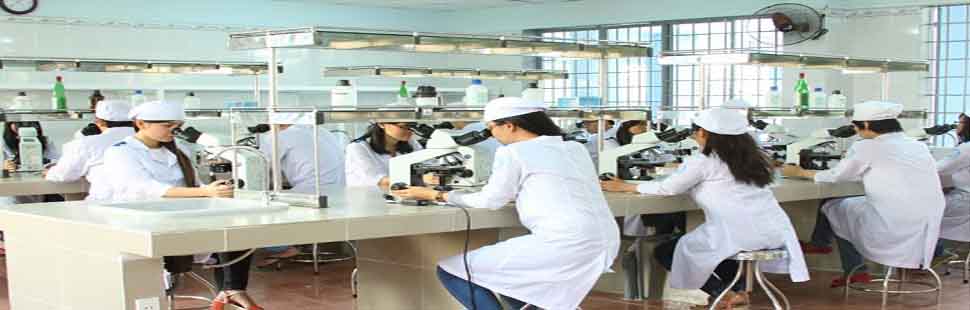 Cử nhân công nghệ sinh học