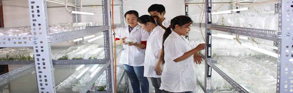 Cử nhân công nghệ sinh học