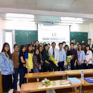 Cử nhân kiểm toán