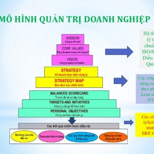 Mô hình quản trị phương pháp Mc Kinsey