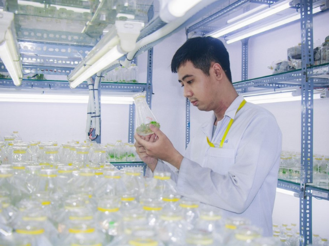 Cử nhân Quản lý tài nguyên và môi trường