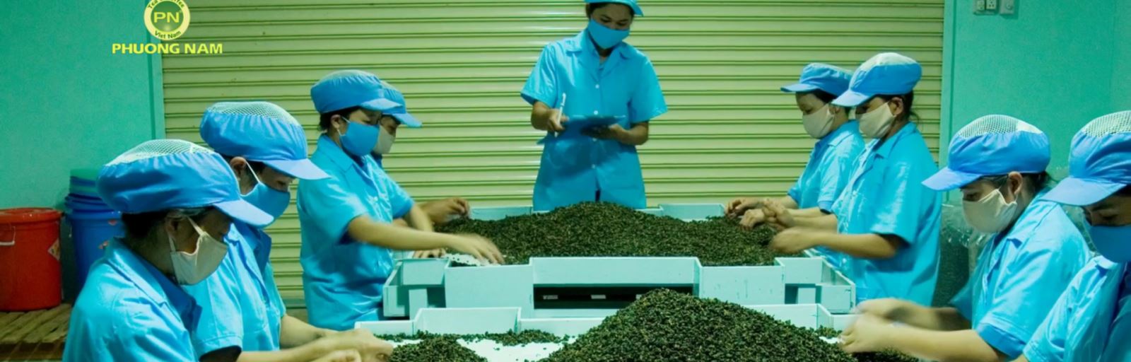 Kỹ sư thực hành Công nghệ chế biến chè_ Hệ liên thông Cao đẳng nghề