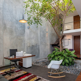 Lối sống văn phòng xanh