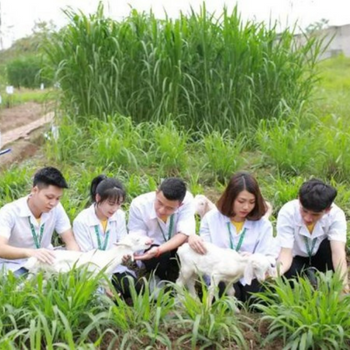 Edunet, trường học, Đăng ký