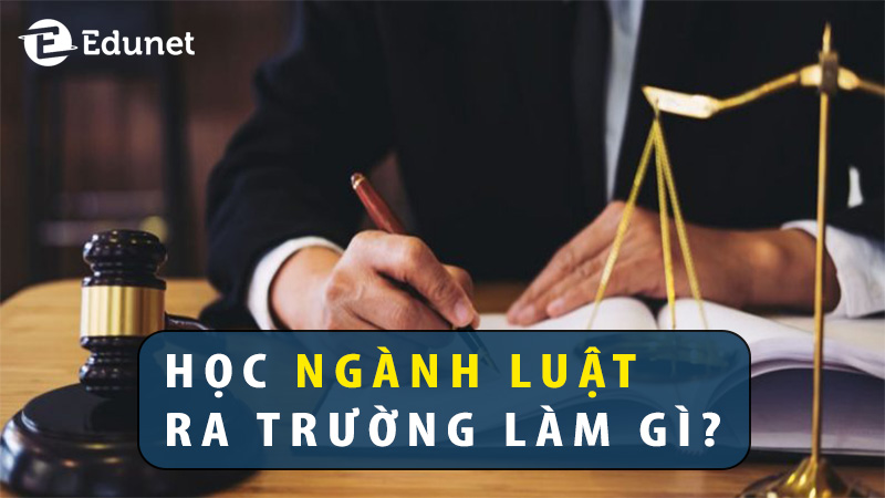 hoc-nganh-luat-ra-truong-lam-gi
