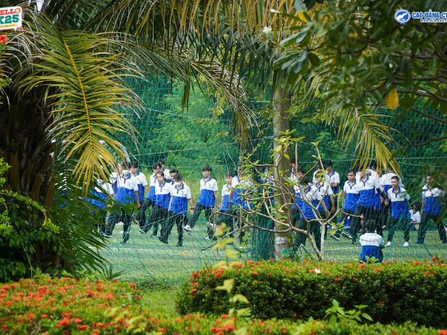 Cử nhân thực hành Tiếng Anh