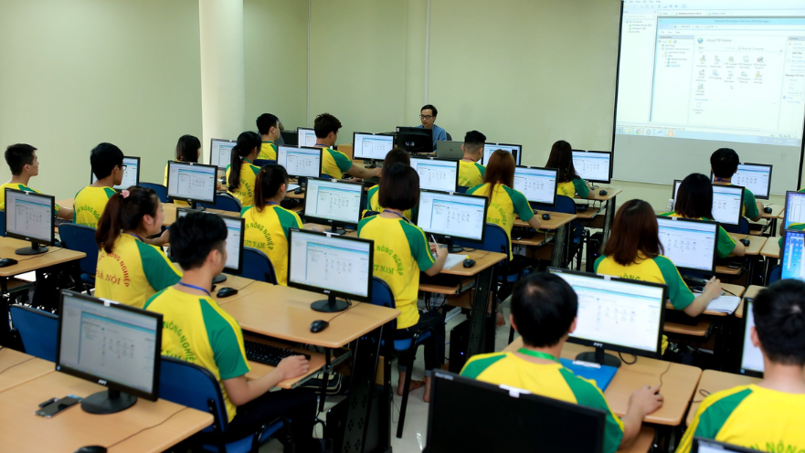 Cử nhân Công nghệ thông tin