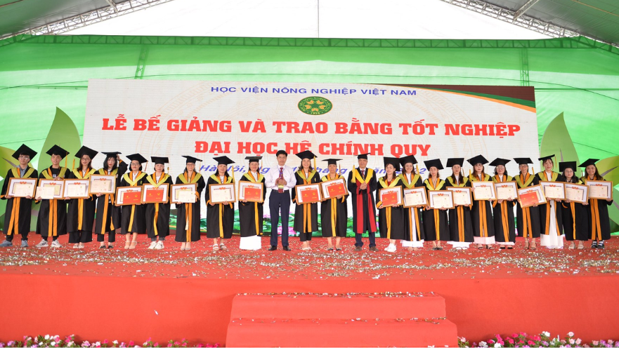 Cử nhân Xã hội học