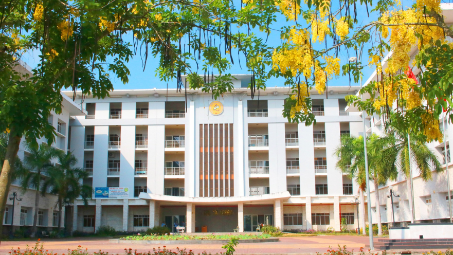 Cử nhân thực hành Công nghệ thông tin