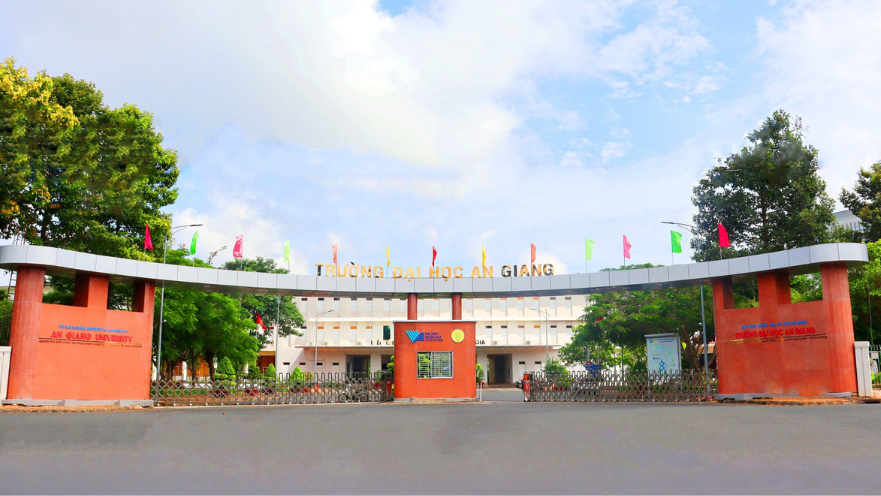 Cử nhân Việt Nam học