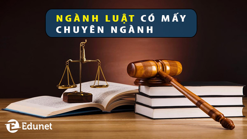nganh-luat-co-bao-nhieu-chuyen-nganh