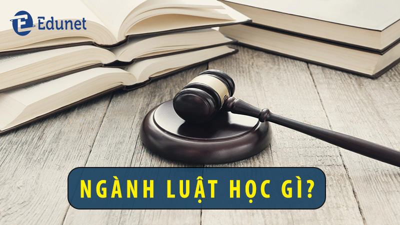 nganh-luat-hoc-gi
